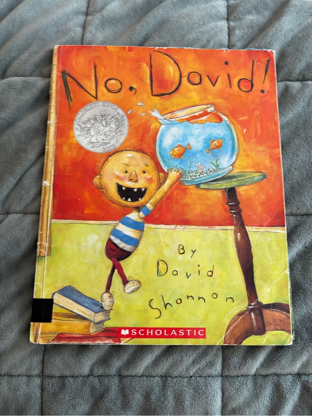 No David - Book
